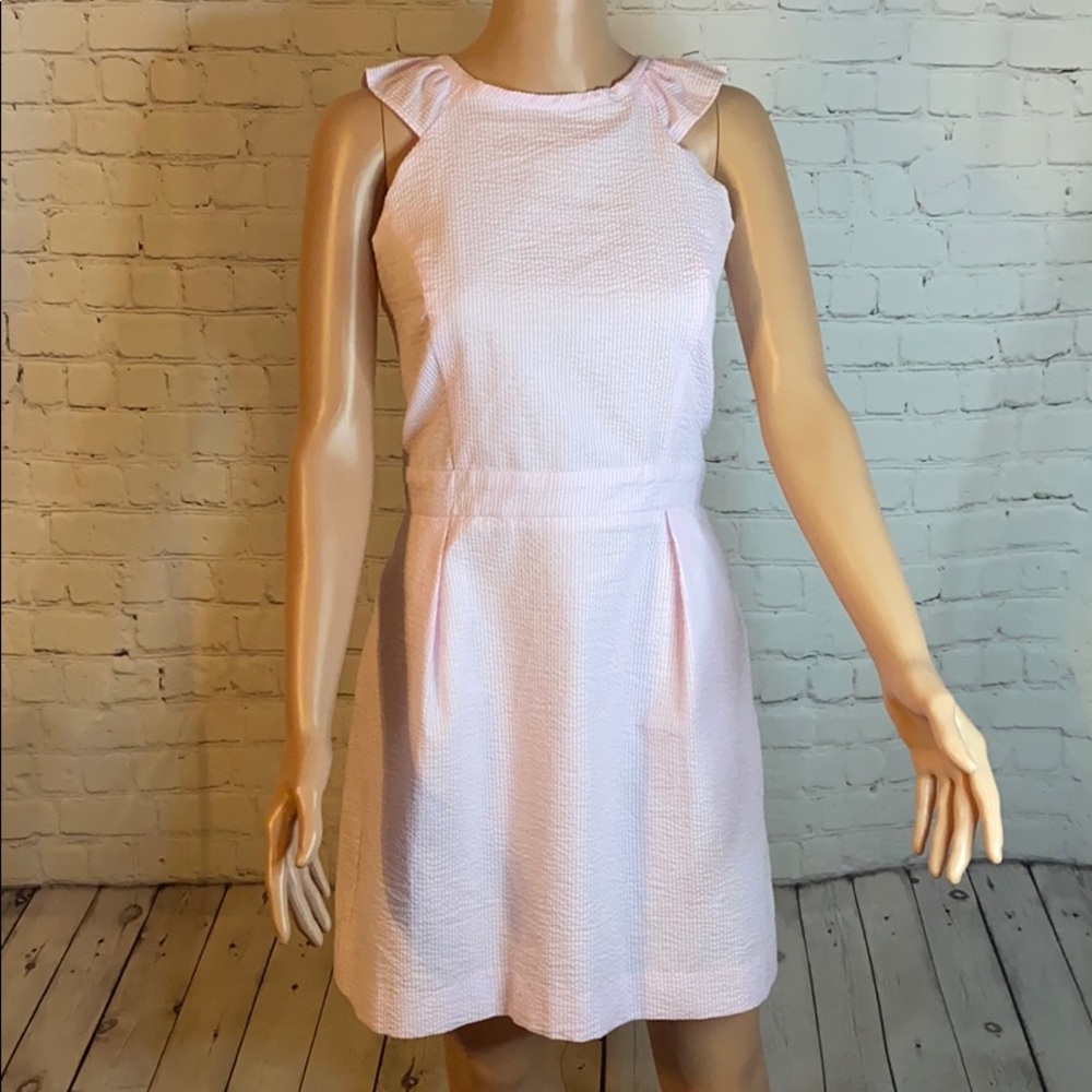 Lauren James Pink Claire Stripe derby Dress nwt